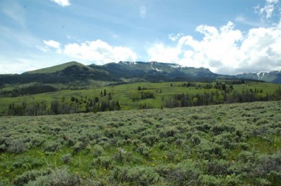 wyoming ranches for sale