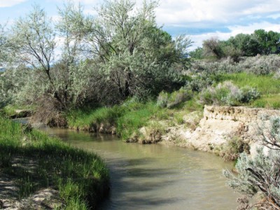 Wyoming Land for Sale