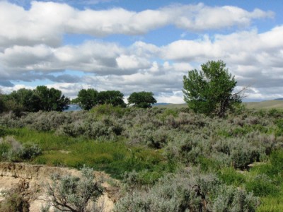 Wyoming Land for Sale