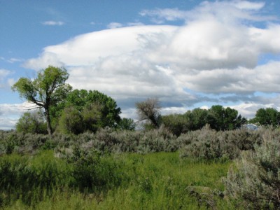 Wyoming land for sale
