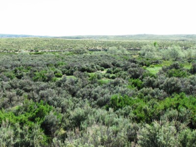 Wyoming Land for Sale