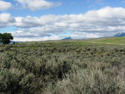 Wyoming Land for Sale