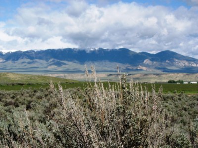 Wyoming Land for Sale