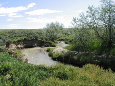 Wyoming Land for Sale
