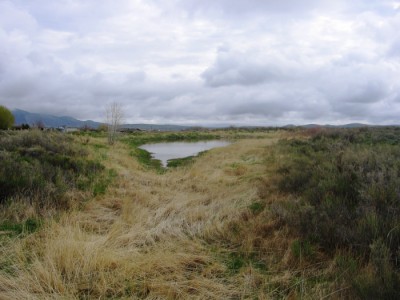 Wyoming Real Estate