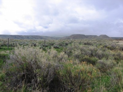 Land For Sale Wyoming