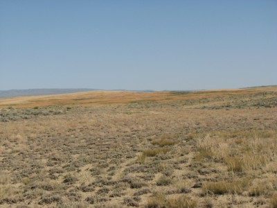 Wyoming Land for Sale