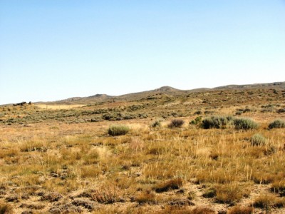 Wyoming Real Estate