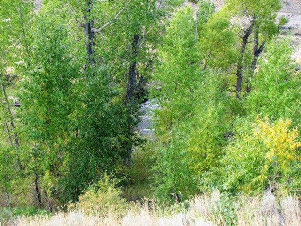Land for Sale in Wyoming