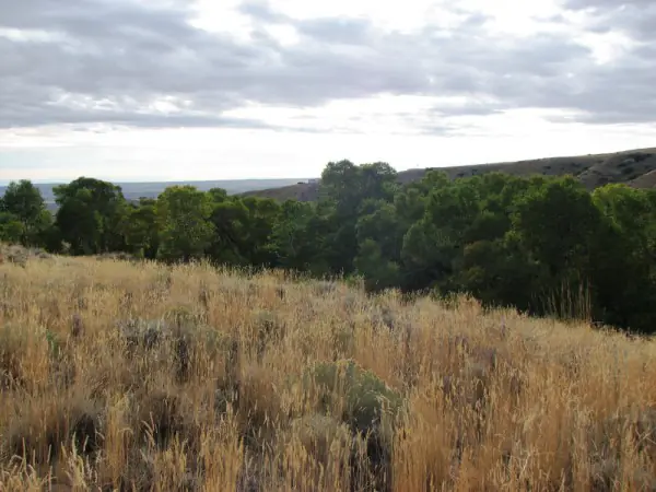 Land for Sale in Wyoming
