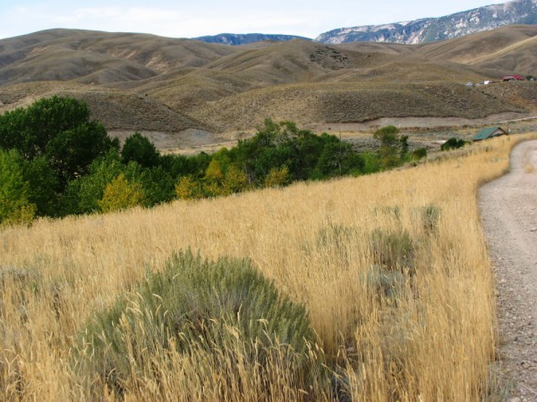 Wyoming Land for Sale
