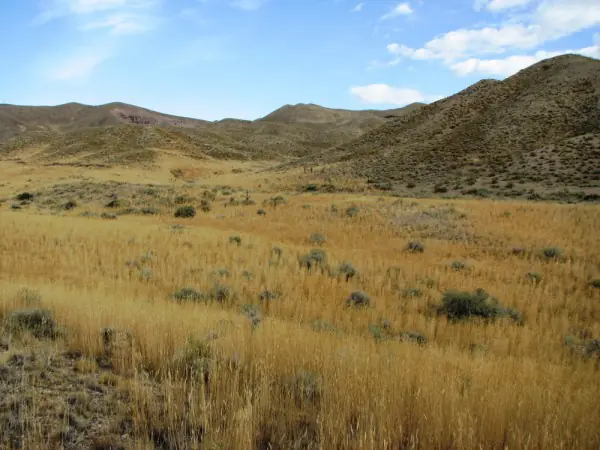 Wyoming Land for Sale