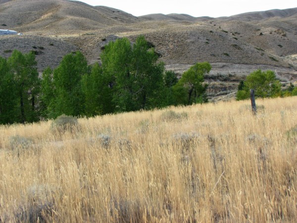 Wyoming Land for Sale