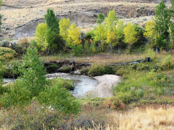 Wyoming Land for Sale