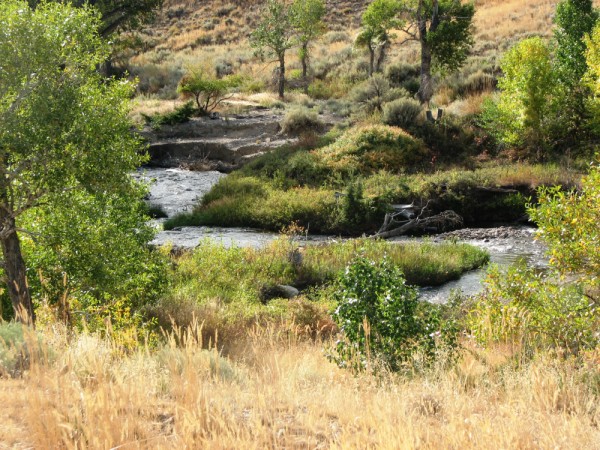 Wyoming Land for Sale