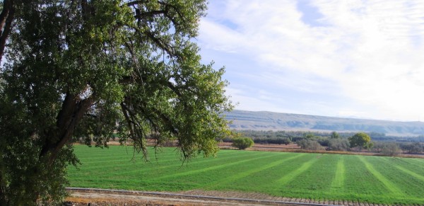 Basin Wyoming Real Estate
