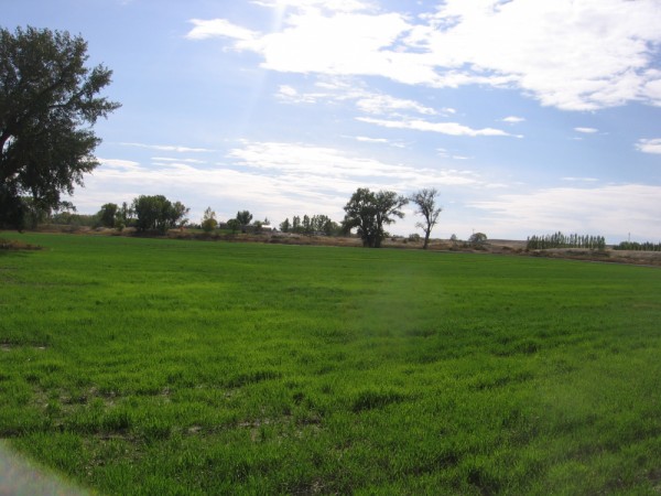 Land for Sale in Wyoming