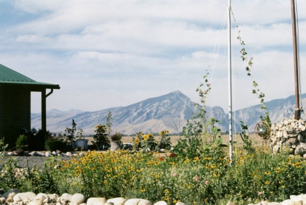 Cody Wyoming Real Estate