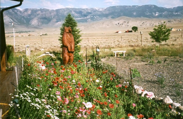 Cody Wyoming Real Estate