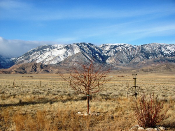 Cody Homes for Sale