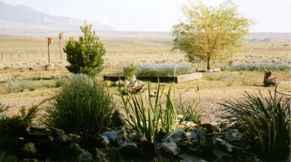 Wyoming Real Estate