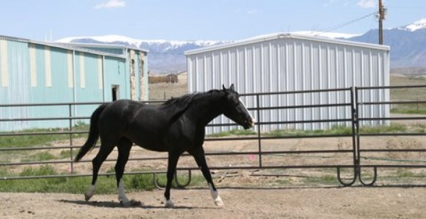Wyoming Ranches