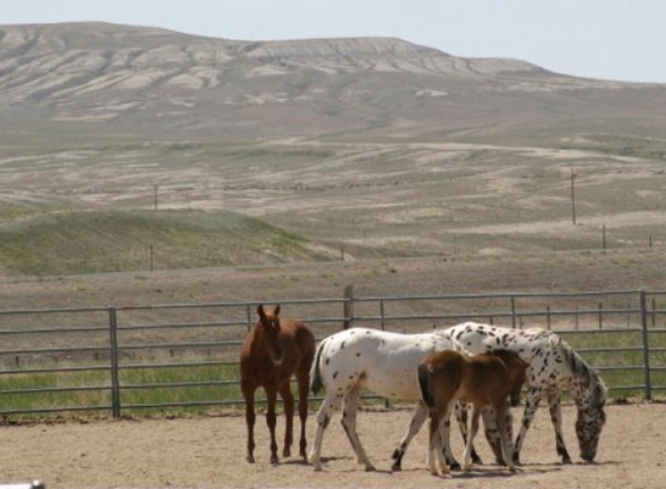 Wyoming Ranches