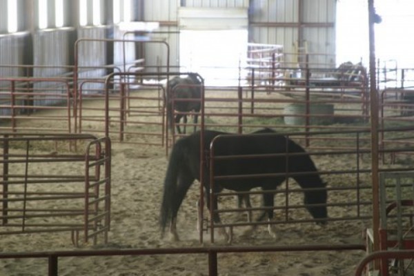 Wyoming Ranches