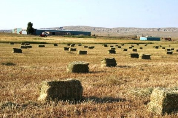 Wyoming Ranches