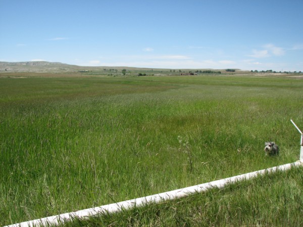 Wyoming Ranches