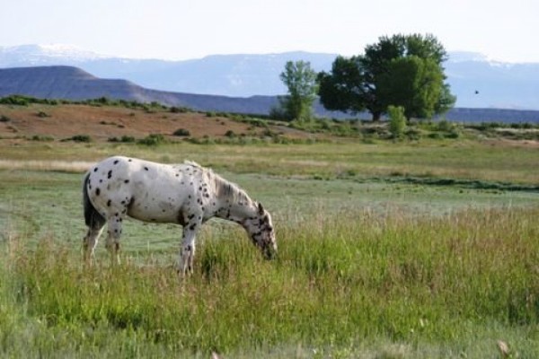 Wyoming Ranches
