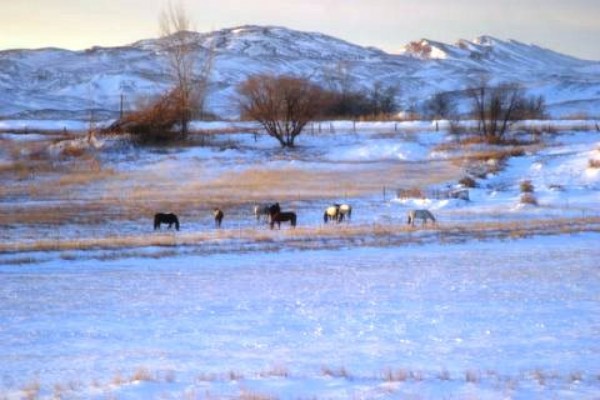 Wyoming Ranches