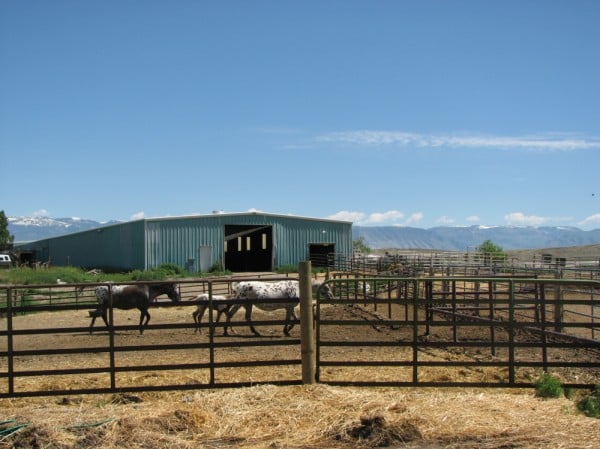 Wyoming Ranches