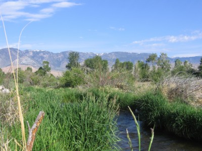 Wyoming, real estate, creek, Clark