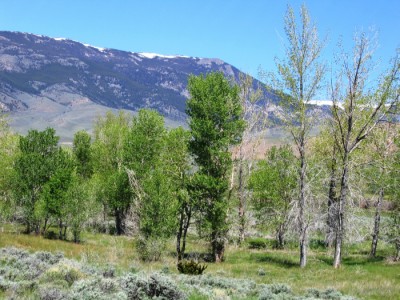 wyoming ranch for sale, Cody