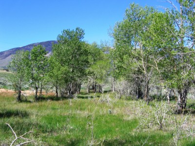 wyoming ranches for sale, Cody