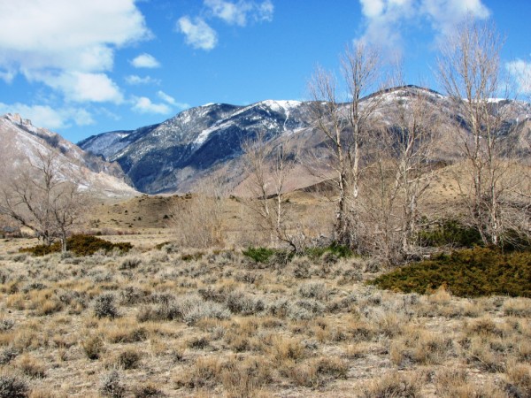 Wyoming Land for Sale