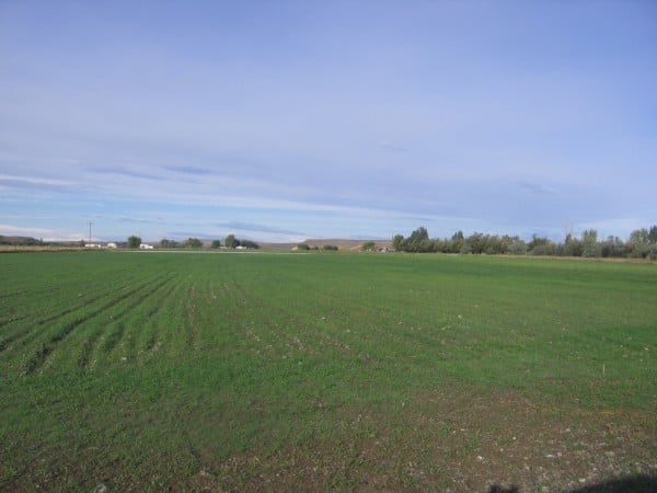 Wyoming Land for Sale
