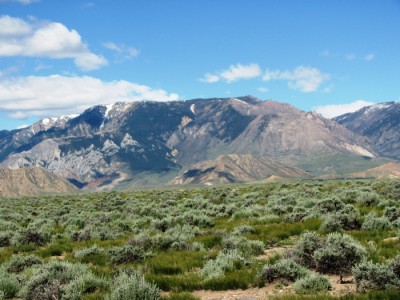 Wyoming Land for Sale