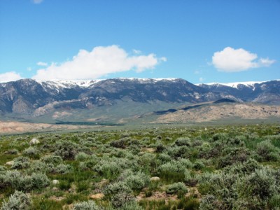 Wyoming Real Estate