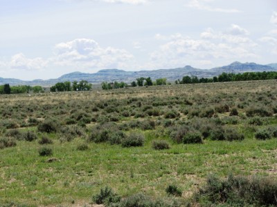 wyoming, land for sale, Cody