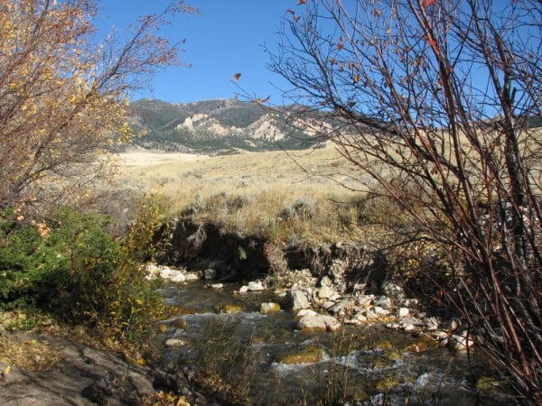 wyoming ranches for sale