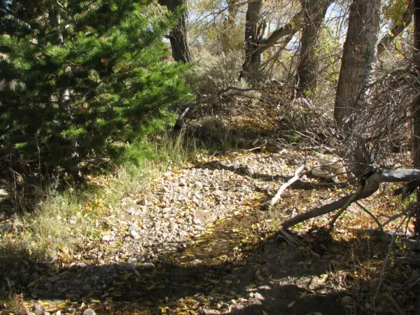 wyoming ranch for sale