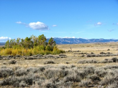 Powell, Clark, Cody, land real estate Wyoming