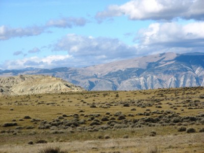powell Wyoming real estate