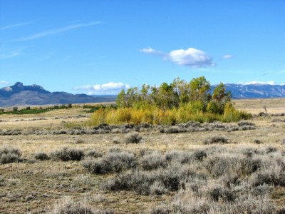 powell Wyoming real estate