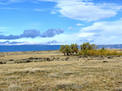 Powell, Clark, Cody, land real estate Wyoming