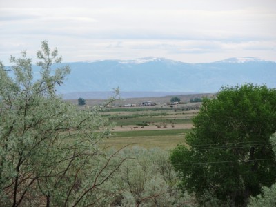 Powell Wyoming home for sale