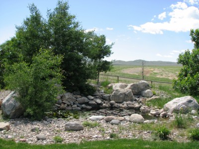 Wyoming cody real estate