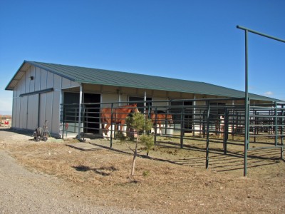 Cody, houses in Wyoming